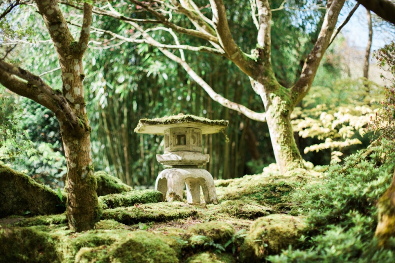 The Japanese Garden